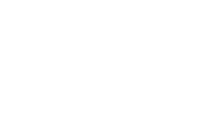 Logos clientes_magnifik (3)